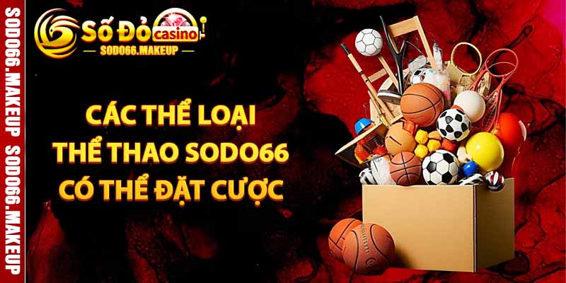 Các Thể Loại Thể Thao Sodo66 Có Thể Đặt Cược