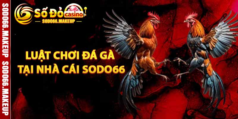 Luật Chơi Đá Gà Tại Nhà Cái Sodo66