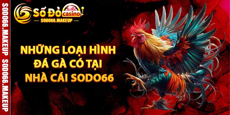 Những Loại Hình Đá Gà Có Tại Sodo66